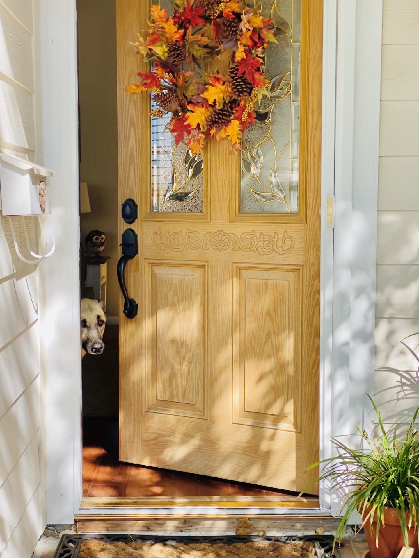 GFD Homes changing a door: door half open with autumn wreath on front door.